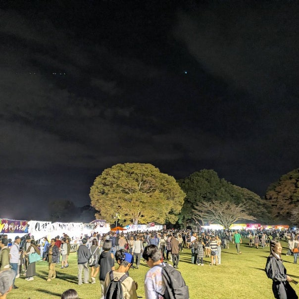 秋の夜風と楽しむ花火大会
